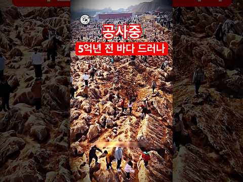 5억 년 전 고대 바다 발견