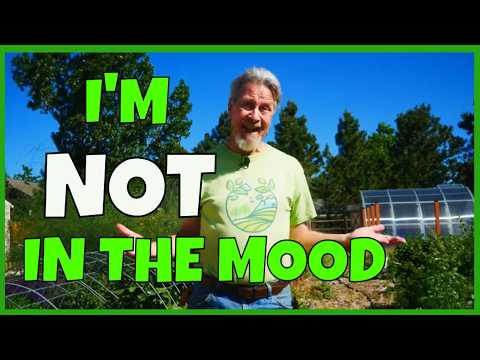 Staying Motivated in the Garden