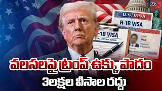 అంతా నా ఇష్టం.. US State Department announced that Trump admin revoked Over 3 Lakh visas | TV5 News