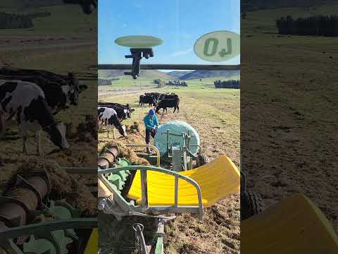 High-tech Farming New Zealand ! #shorts
