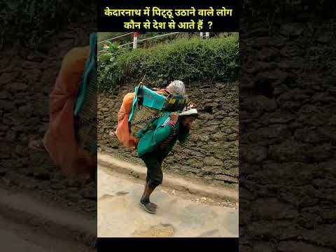 केदारनाथ में पिट्ठू उठाने वाले ये लोग कौन होते हैं और कहाँ से आते हैं, #shorts #hindu #kedarnath