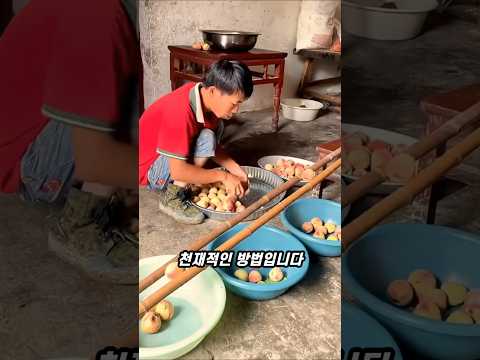 일손이 모자라 만든 무전력 선별기