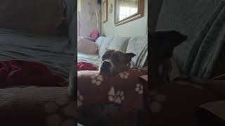 RIP RubyJade #sad