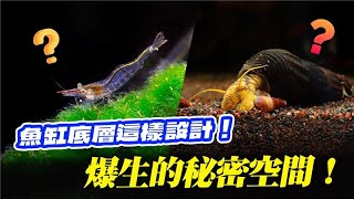 打造地下一層的魚缸？ 小魚缸也能安全生小蝦！