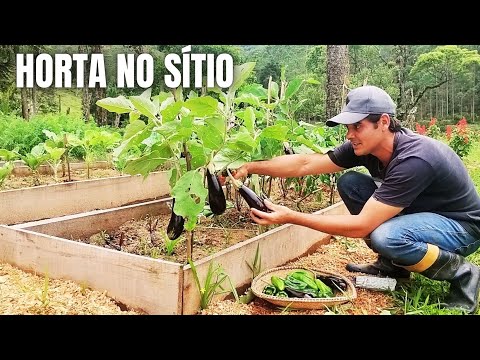 HORTA ORGÂNICA NO SÍTIO