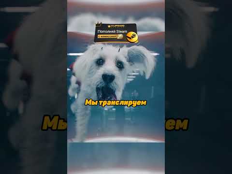 Обезьянки Боты пишут про Супермена | Супермен 2025 #shorts #фильмы #кино #сериал