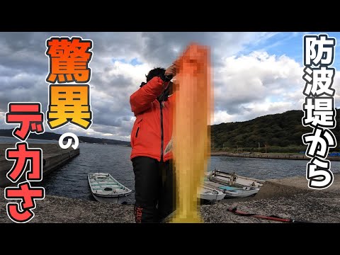 釣れない海から一転？！超大型魚が水面を跳び回り乱舞？！離島編最大サイズが…