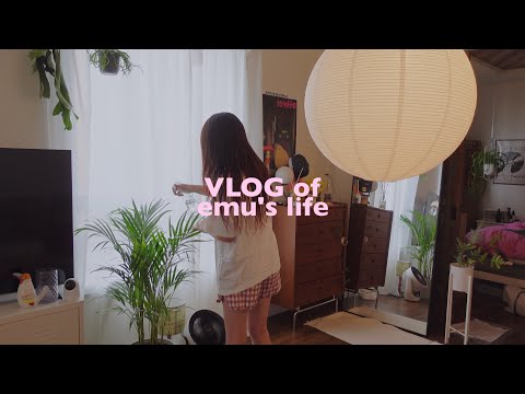 今日は1人暮らしのご褒美デイ/目玉焼きポンデリング,IKEAのランプ,ラーメンサラダ,VLOG