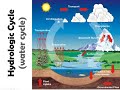Aquatic Ecosystem Concepts and Roles