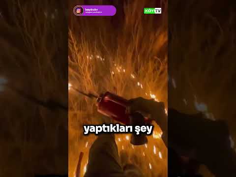 Karşı Ateş Nasıl Uygulanır? #yangın #ormanyangını #orman