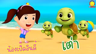 เพลงเต่า4ขา น้องเป็ดอินดี้กับเต่าเอ๋ยเต่า #เพลงเด็กน้องเป็ดอินดี้