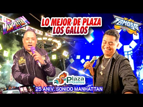 ¡ Lo Mejor De Plaza Los Gallos ! SONIDO MANHATTAN VS SONIDO FAMOSO - EXITOS CHINGONES 2025