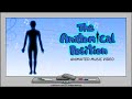Anatomical Terminology and Planes