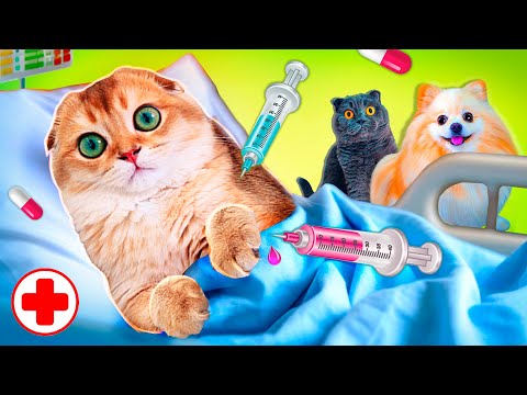 КОТЕНОК ПЕРСИК в БОЛЬНИЦЕ - Сделали ОПЕРАЦИЮ КОТИКУ | Ставим УКОЛЫ ?