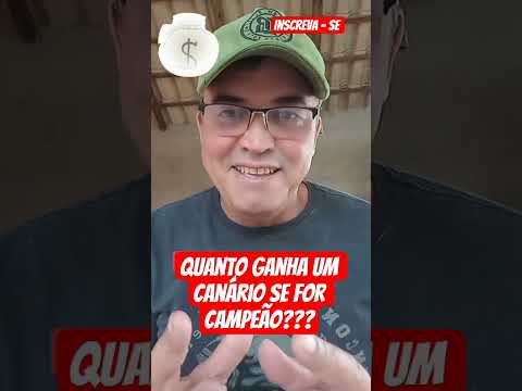 Quanto ganha um canário campeão #aves #noticias #passaros #tutorial #animais #dicas