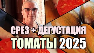 15 сортов помидоров в срезе +  дегустация. Обзор 2025.