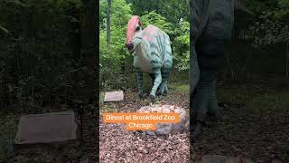 Dinos! Dinos! Everywhere!