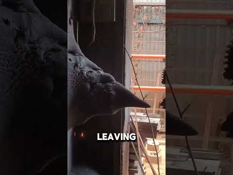 Metal Swarf Buildup Create Wall Pattern