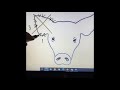 Pig Ear Notching Practices