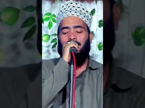 सहेरे गुलशन कौन है दस्ता तैबा छोड़कर Mohammad Ali Faizi New Naat #shorts video#ytshort