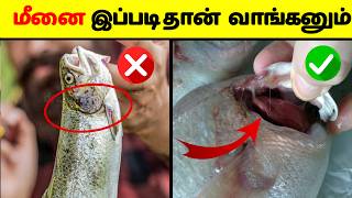 😱கெட்டுப்போன மீனை கண்டுபிடிப்பது எப்படி ?  | How to buy fresh fish in market  | #multifactsintamil