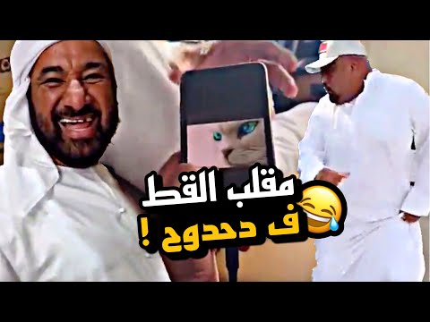 مقلب القط ف دحدوح 😂😂😂