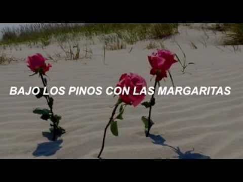 13 Beaches En Espanol de Lana Del Rey Letra y Video