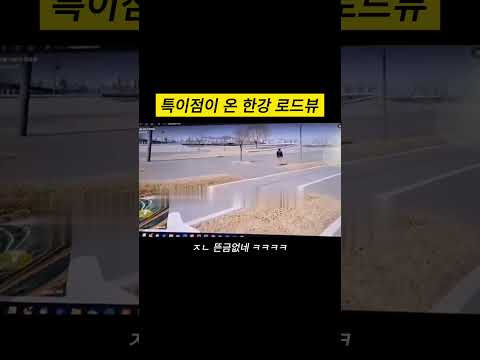 특이점이 온 한강 로드뷰
