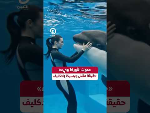 #shorts | «حوت الأوركا بريء».. حقيقة مقتل جيسيكا رادكليف