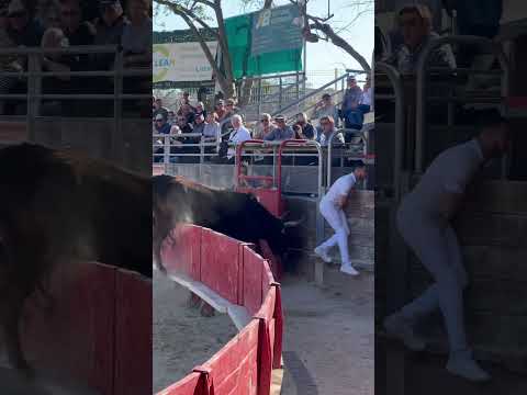 3eme journée de la Main d’Or à Vendargues - Karim Boualam - Baudouin de Nicollin