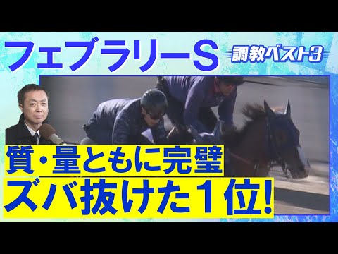 「レモンポップより濃密な調教！？」ミッキーファイト、コスタノヴァ、 エンペラーワケア・・・競馬エイト・高橋賢司トラックマンの調教解説＜フェブラリーステークス(ＧⅠ)＞