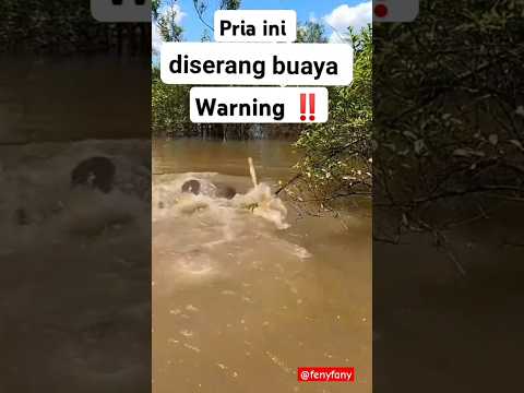 Pria ini nekad ingin menangkap buaya di sungai tiba-tiba buaya menyerang balik