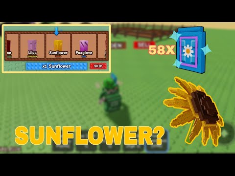 58 FLOWER SEED PACK FOR SUNFLOWER