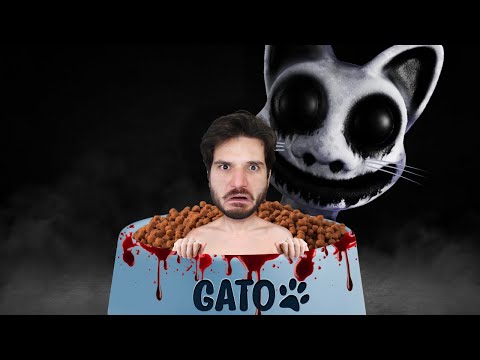PORQUE VOCÊ NÃO DEVE DAR COMIDA PARA O SEU GATO DE MADRUGADA!