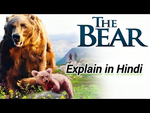 Full movie (THE BEAR 🐻 )Explain in Hindishorts #moviexplainhindi#movie #foryou @Nikkikhan