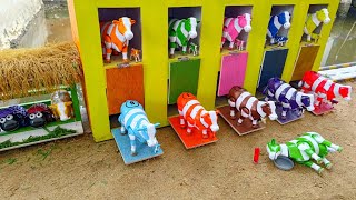 SIMULASI POTONG SAPI KURBAN & SIMULASI SAPI MELAHIRKAN