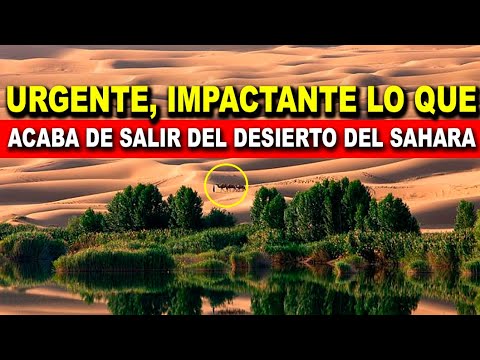 Im谩genes Impactantes! Mira lo que acaba de salir del Desierto Del Sahara