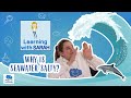 Understanding Seawater and Its Properties
