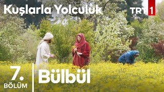 kuslarla yolculuk Episode 7 With English Subtitles