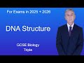 DNA Structure and Base Pairing