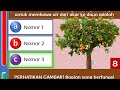 Photosynthesis and Plant Functions