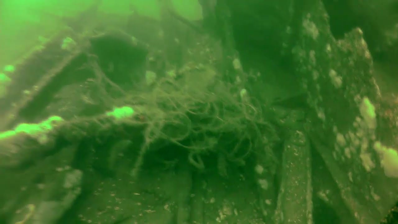 Great Underwater Footage of the Gloria Wreck, NJ