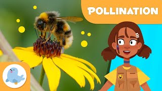 What is POLLINATION? 🐝 🌼 Pollination for Kids 🍓
