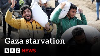 Almost a third of people in Gaza not eating for days, UN says | BBC News