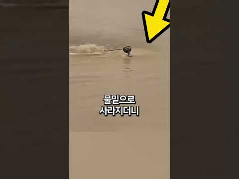 강물에 나타난 수상한 것의 정체 ㄷㄷ