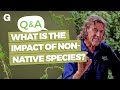 Ecological Concepts and Species Dynamics