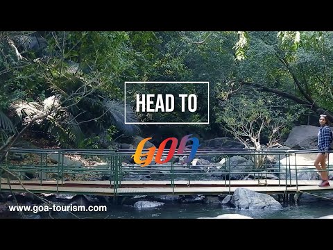 Head to Goa. Catch the FIFAU17WWC fever