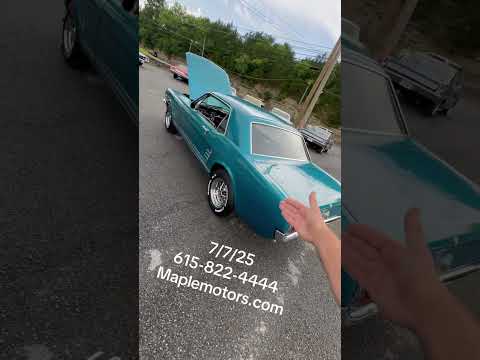 Test Drive 1966 Ford Mustang $15,900 Maplemotors.com #1966 #ford #mustang #66 #oldschool #testdrive