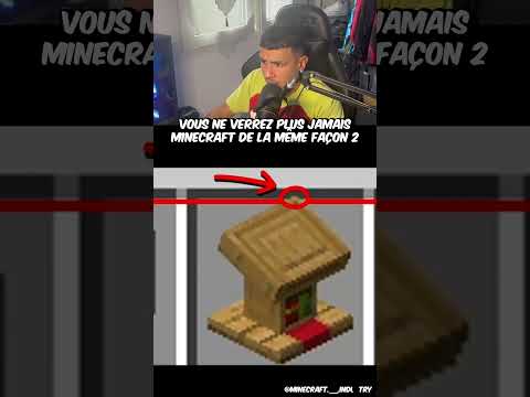 Minecraft comme vous ne l'avez jamais vus