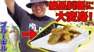社員飯！？あのブルーギルが絶品料理に！！